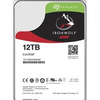 Seagate IronWolf 10TB ST10000VN0008 Image #1