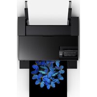 Epson SureColor SC-P700 Image #2