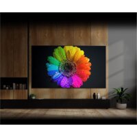 LG QNED96 8K 65QNED963QA Image #11