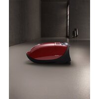 Miele Complete C3 Cat & Dog Flex SGEF5 (оранжевый) Image #4