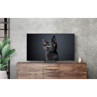 Samsung OLED 4K S90C QE77S90CATXXH Image #4