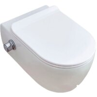 SSWW CT2039V-B