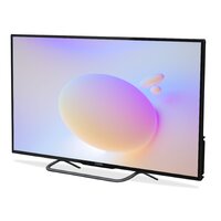 Polar P43L33T2CSM (Rev. 3) Image #2