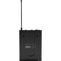 LD Systems U306 BPH Image #6