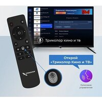 Триколор P24HH302 Image #5