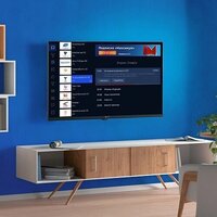 Триколор P24HH302 Image #6