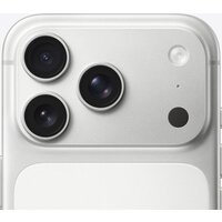 Apple iPhone 17 Pro 1TB (серебристый) Image #4