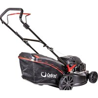 Cedrus KS48 Image #2