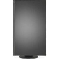 NEC MultiSync E243F (черный) Image #8