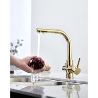 Paulmark Essen Es213011-G (золото) Image #10