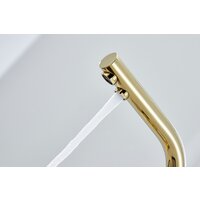 Paulmark Essen Es213011-G (золото) Image #7