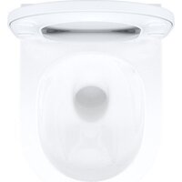 IDDIS Slide SLIRDSEi25 Image #9