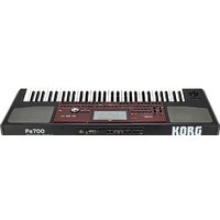 KORG Pa700 Image #5