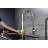 Paulmark Galant Ga213077-SBG (золото/светлое брашированное золото) Image #7