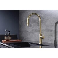 Paulmark Galant Ga213077-SBG (золото/светлое брашированное золото) Image #11