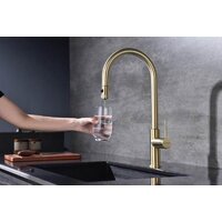 Paulmark Galant Ga213077-SBG (золото/светлое брашированное золото) Image #8