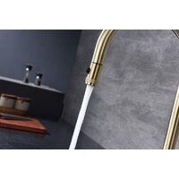 Paulmark Galant Ga213077-SBG (золото/светлое брашированное золото) Image #3