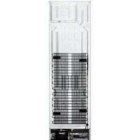 LG DoorCooling+ GA-B509LQYL Image #15