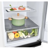 LG DoorCooling+ GA-B509LQYL Image #12