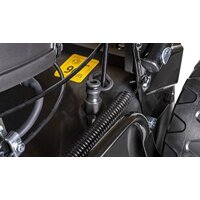 Cedrus KS53S-L Image #15