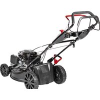 Cedrus KS53S-L Image #4