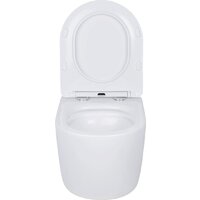 Roxen Antares в комплекте с инсталляцией Asten Readle Zentralmodul AR0601-185M с кнопкой сатин (хром матовый) Image #4