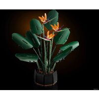 LEGO Creator Expert 10289 Райская птица Image #31