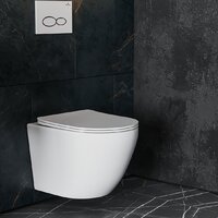 Roxen Antares в комплекте с инсталляцией Asten Readle Zentralmodul AR0601-185W с белой кнопкой Image #6