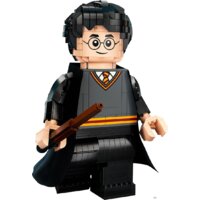 LEGO Harry Potter 76393 Гарри Поттер и Гермиона Грейнджер Image #4