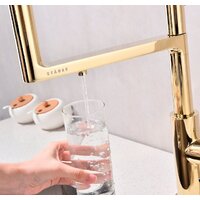 Paulmark Tornado To213402-G (золото) Image #12