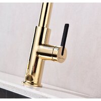 Paulmark Tornado To213402-G (золото) Image #10