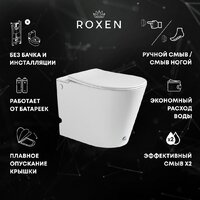 Roxen Vario 620260-01 с импульсным смывом
