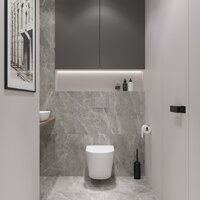 Lauter Vortex 2110830 + GROHE Rapid SL 38721001 с кнопкой (овальная, хром) Image #7