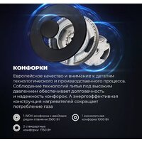 DeLonghi BF 46 PRO RUS Image #6
