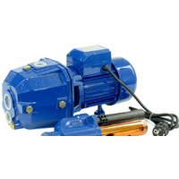 Unipump DP 750 Image #2