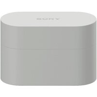 Sony WF-1000XM6 (серый) Image #4