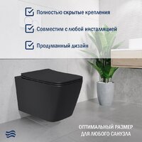 Lauter Magdeburg 21103EC + 21901002 (кнопка круглая, черный) Image #8