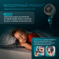 Evolution AirLeaf AL-307DC (белый) Image #5