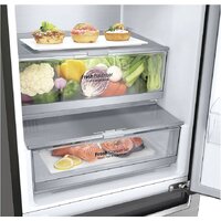 LG DoorCooling+ GA-B509SMUM Image #3