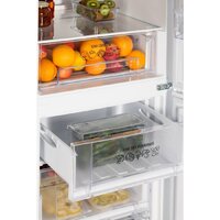 Nord (Nordfrost) NRG 152 WTM Image #15