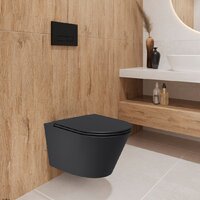 Lauter Longer 2110822 + 21901002 (кнопка круглая, черный/черный) Image #12