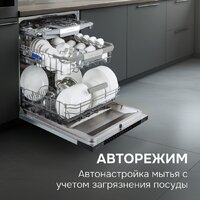 Zigmund & Shtain DW 311.6 Image #17