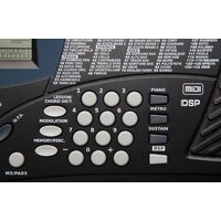 Kurzweil KP30 Image #6