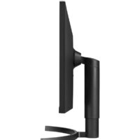 LG UltraWide 34WN750P-B Image #5