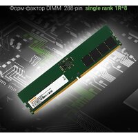 Digma 16ГБ DDR5 4800 МГц DGMAD54800016S Image #3