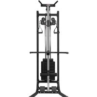 Alpin Wave Gym GX-950 Image #2