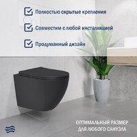 Lauter Augsburg 21109EC + 21901002 (кнопка круглая, черный) Image #8