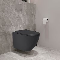 Lauter Augsburg 21109EC + 21901002 (кнопка круглая, черный) Image #12