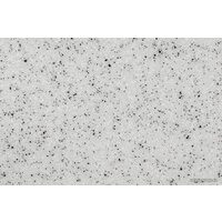 Gerhans C01 (серый) Image #6