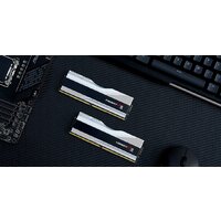 G.Skill Trident Z5 RGB 2x16ГБ DDR5 6600МГц F5-6600J3440G16GX2-TZ5RS Image #7